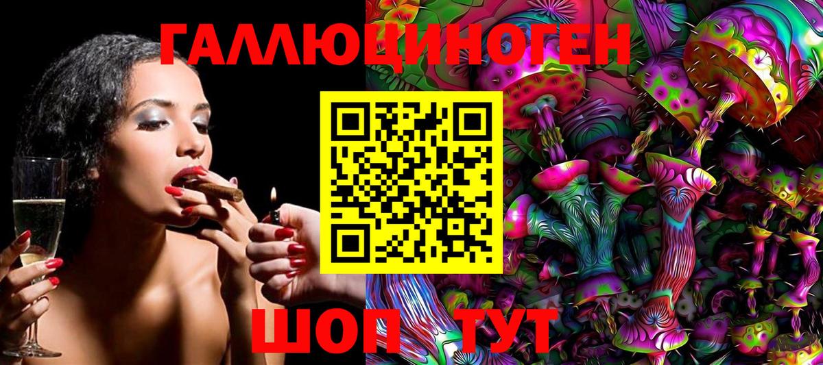 Псилоцибиновые грибы мухоморы Губкинский