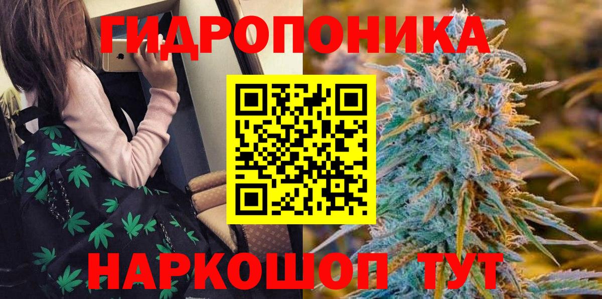 Конопля планчик Губкинский